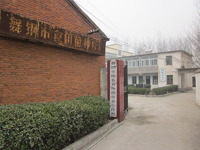 舞钢市艳春食用菌专业合作社成立